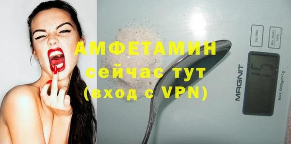 PSILOCYBIN Козловка
