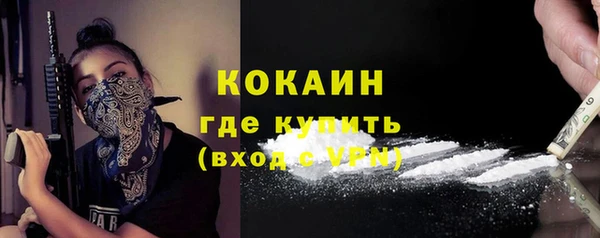 PSILOCYBIN Козловка