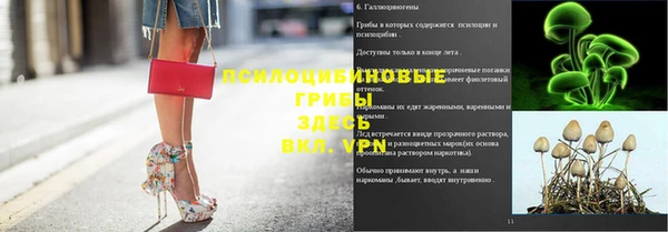 Альфа ПВП Козельск