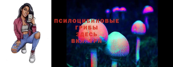 PSILOCYBIN Козловка