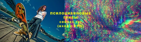 Альфа ПВП Козельск