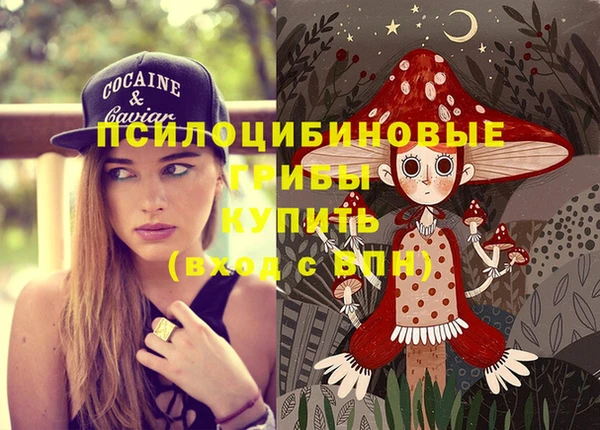 PSILOCYBIN Козловка