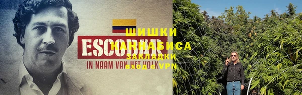 PSILOCYBIN Козловка