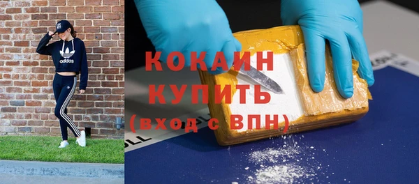 PSILOCYBIN Козловка