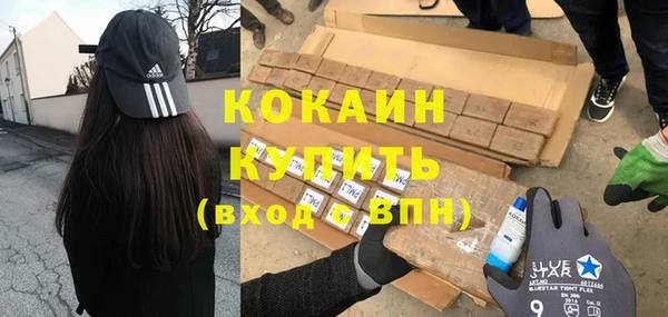 PSILOCYBIN Козловка
