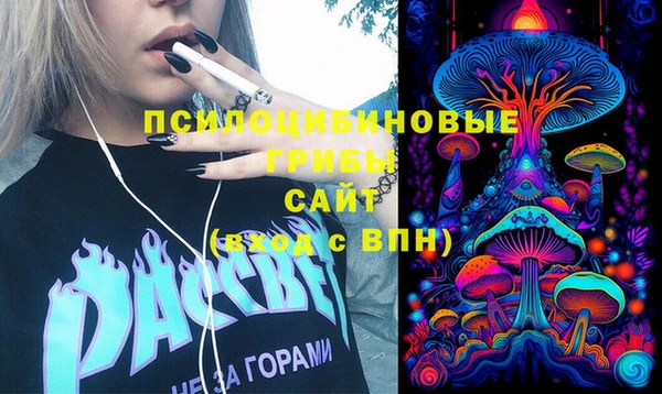 Альфа ПВП Козельск