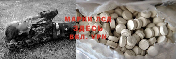 PSILOCYBIN Козловка