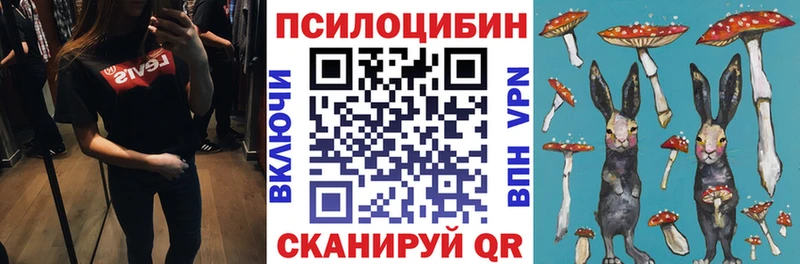 Галлюциногенные грибы Psilocybe  Купить закладки  Староминская 